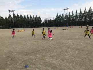 4ef9f066-87fb-4187-a198-e7281e1e7d1d