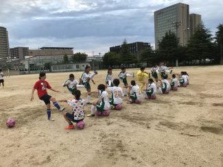 03f4d6ef-3e6a-41a0-8d78-9d7407c4a020