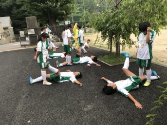 21181f94-acba-45f7-866f-123938e927e1