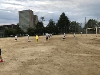 8ea73b1e-58b2-4da6-a463-f9a000cb4908