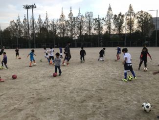 1f6ae21d-fa3d-48ff-a0f6-c6734854c654