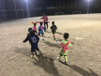 8a53a3f0-f57d-491a-bdc2-7defd07dcc47