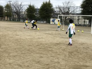 d8483c7e-a7e0-4398-8923-17461a260ea9