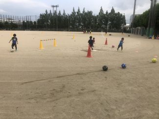 e43e80fd-fefb-4568-ac73-e272f723065f