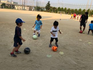 77197a81-3a0a-4c19-a2e4-20b57bc7730c