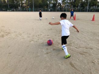 8a23311f-e19c-435b-988a-031a347ceb6d