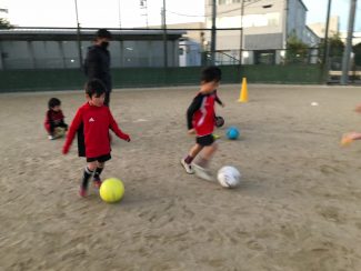 0edeedd7-9bd8-4ded-9f8e-83c6b8da2ea9